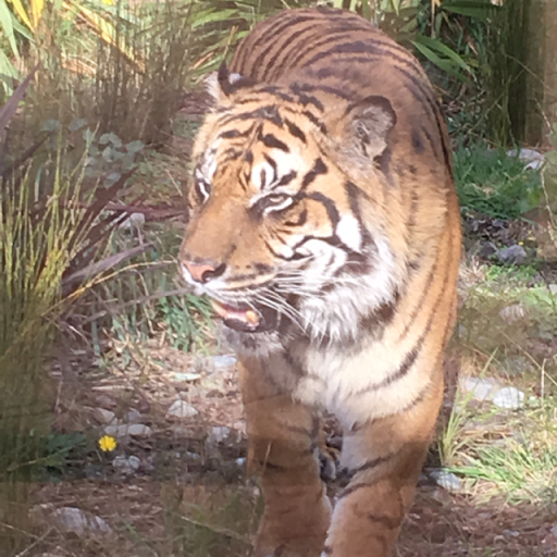 Craig Ellison Photo 30