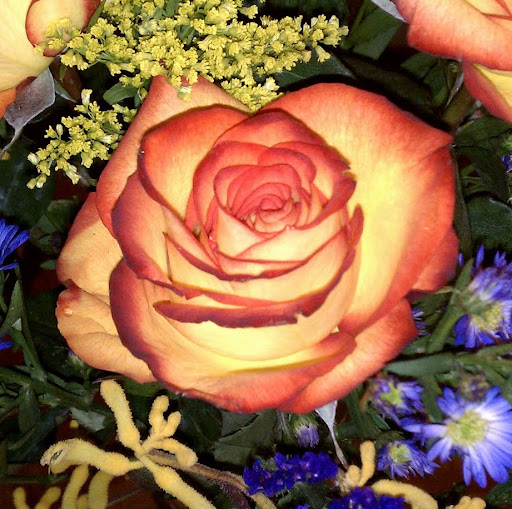 Julie Pelletier Photo 26