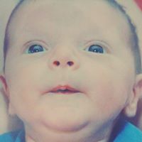 Daniel Becher Photo 15