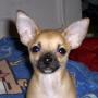 Carolyn Curtis Photo 32