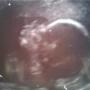 April Burris Photo 13
