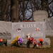 Donald Grove Photo 15