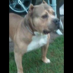 Jerry Mondragon Photo 1