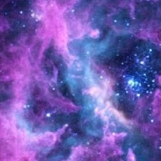 Krystal Coleman Photo 5