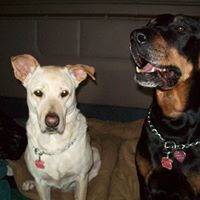 Ellen James Photo 34