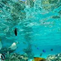 Dwayne Richards Photo 10