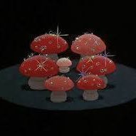 Stephanie Rees Photo 32