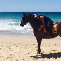 Anne Smyth Photo 29 Anne Smyth Photo 29