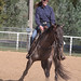 Christine Hamilton Photo 26