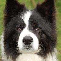 Janice Jarvis Photo 13