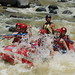 Mary Rohrer Photo 10