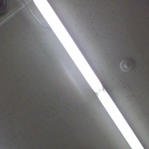 Charlie Lehman Photo 8