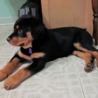 Maria Cornelius Photo 9