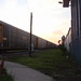 Dawn Busch Photo 14