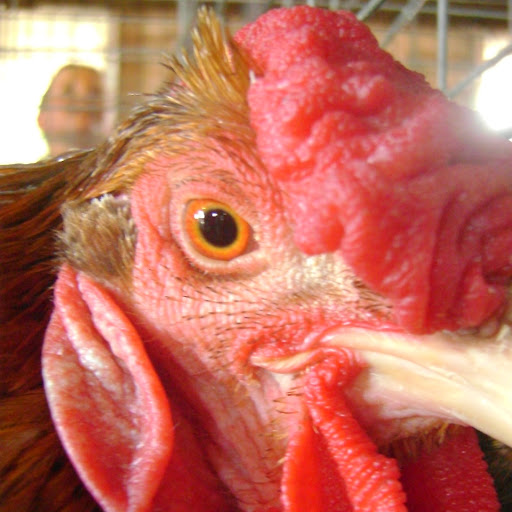 Jill Grabowski Photo 16