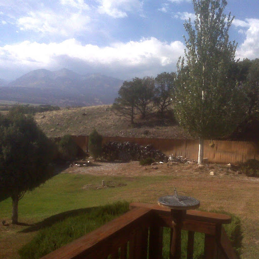 Diane Tuttle Photo 17