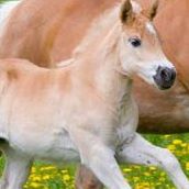 Sherry Kramer Photo 19