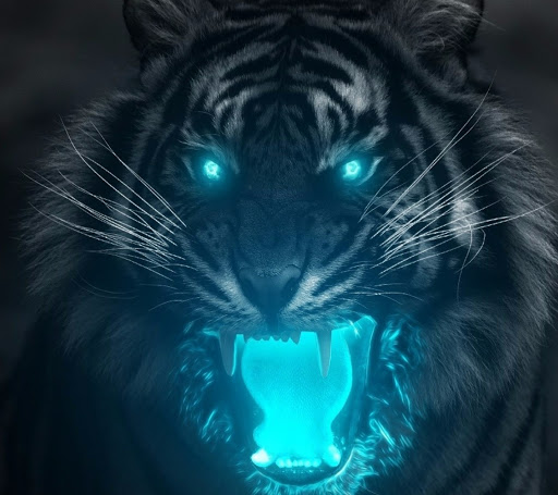 Terry Collins Photo 7