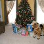 Bev Brewer Photo 6
