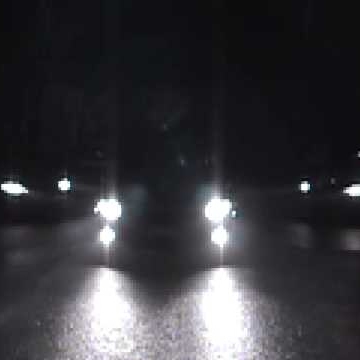 Brian Butcher Photo 32