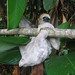 Arlene Wilder Photo 10