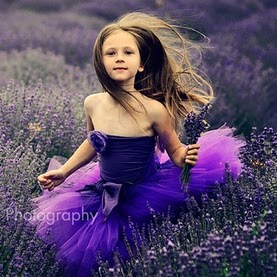 Donna Harvey Photo 39