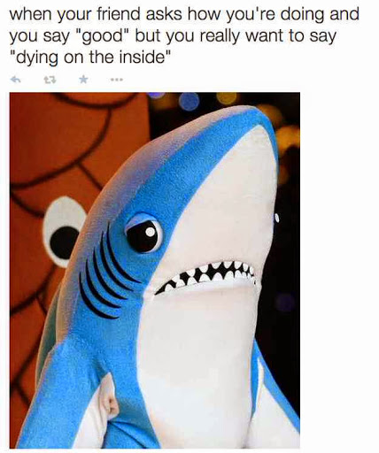 Michelle Salazar Photo 13