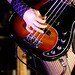 Nicole Fiorentino Photo 5