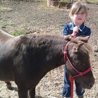 Sara Paulsen Photo 20 Sara Paulsen Photo 20