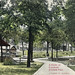Robin Kropp Photo 9
