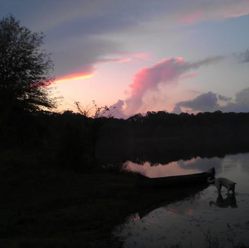 Renee Montgomery Photo 10