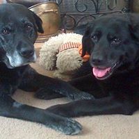 Kathleen Samuels Photo 4