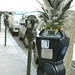 Richard Ing Photo 15