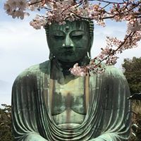 Cindy Langlois Photo 9