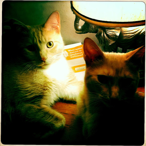 Stephanie Levine Photo 45