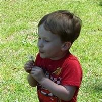 Sharon Mathis Photo 27