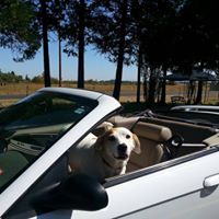 Alice Defries Photo 3