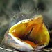 Robin Stoops Photo 10