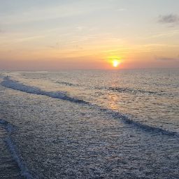 Paul Sanders Photo 10