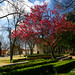Francisco Jardim Photo 10
