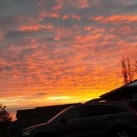 Susan Duffield Photo 19
