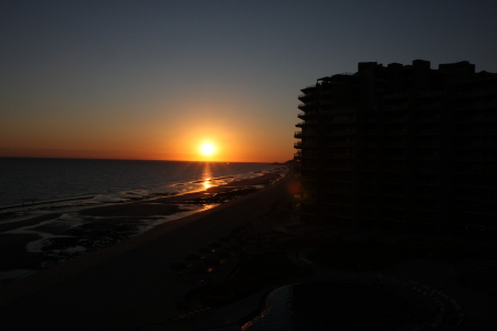 Julia Jenkins Photo 12