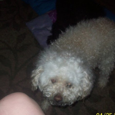 Connie Lewis Photo 4