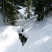 Steven Lanham Photo 33