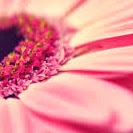 Jennifer Mcisaac Photo 2