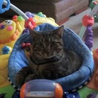 Suzanne Major Photo 10