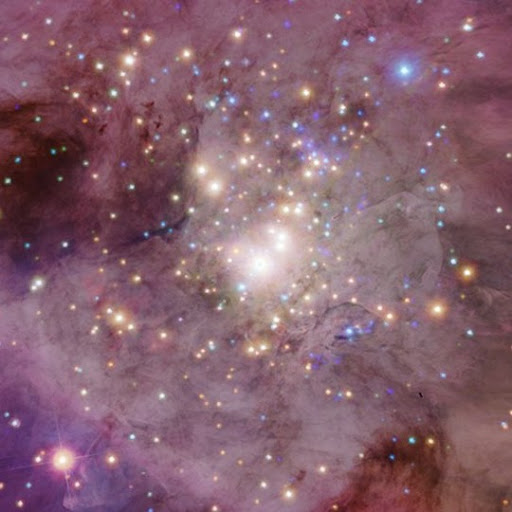 Cynthia Angulo Photo 6