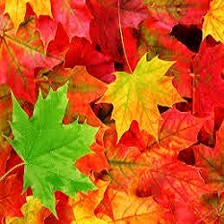 Michelle Call Photo 23