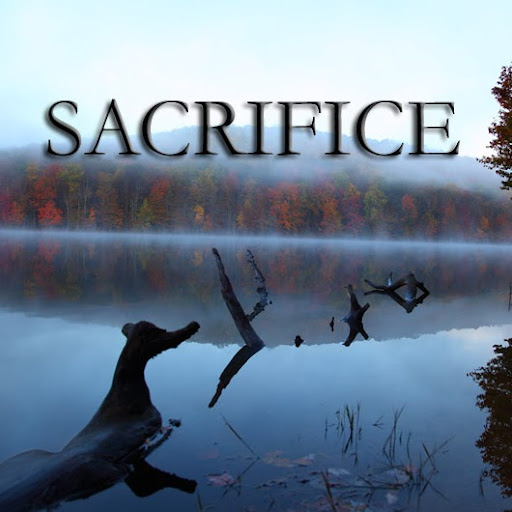 Michael Cohn Photo 25