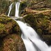 Janet Beck Photo 39